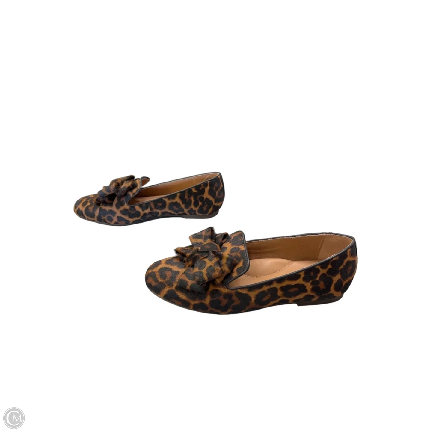Shoes Flats By Gentle Souls In Leopard Print, Size: 7