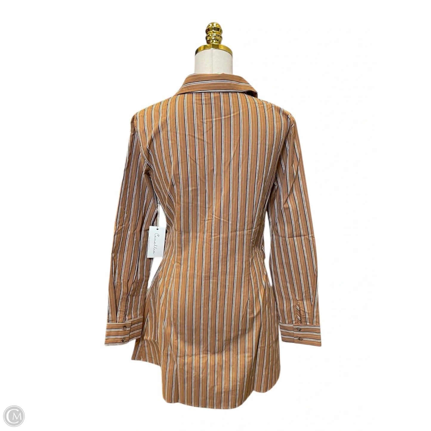 Dress Casual Short By Clothes Mentor In Striped Pattern, Size: M