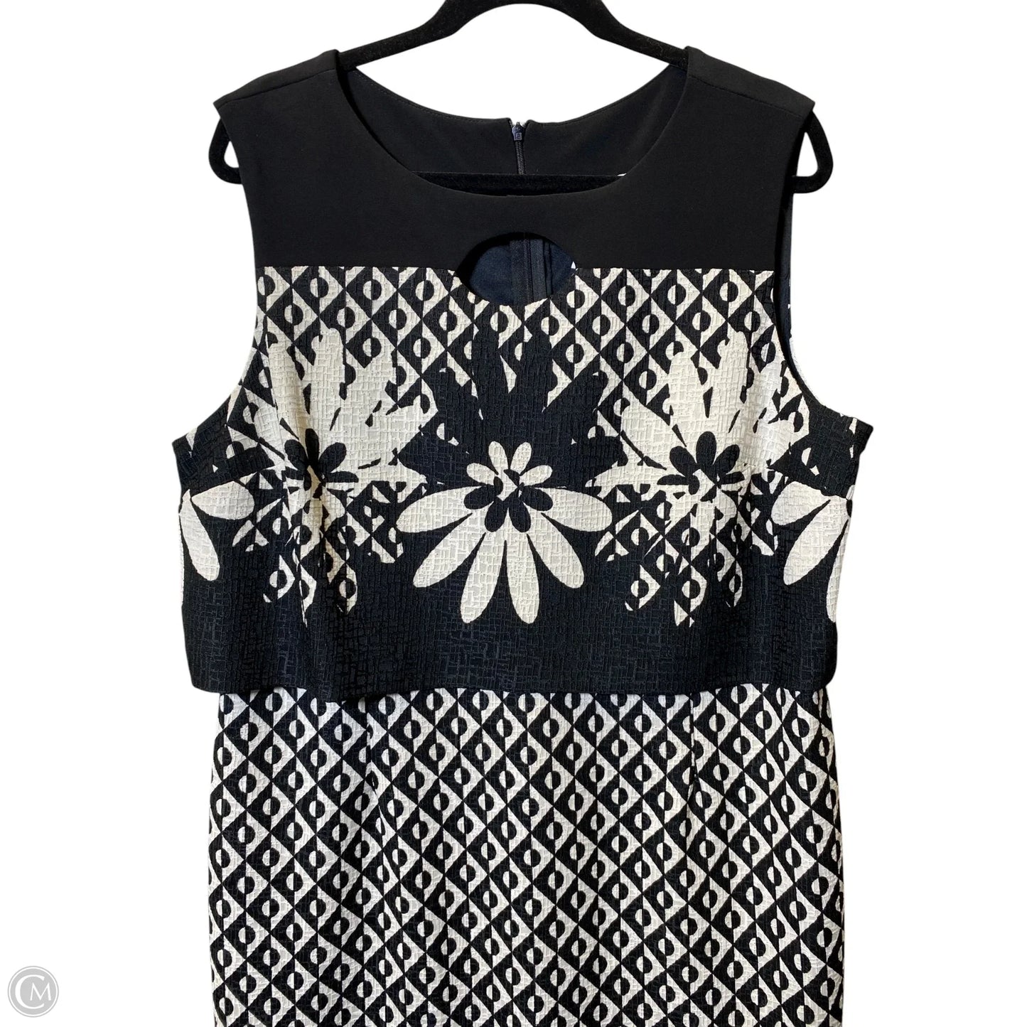 Dress Casual Short By Joseph Ribkoff In Black & Cream, Size: 18