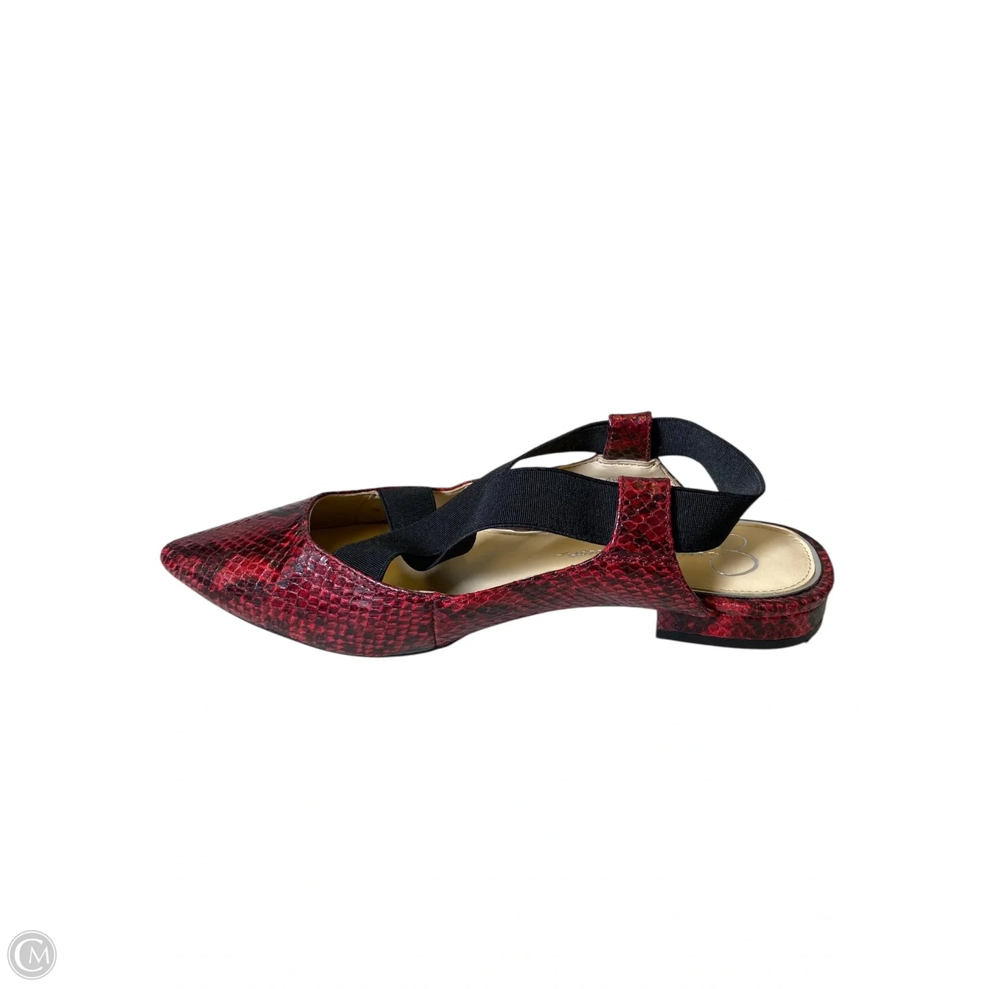 Shoes Flats By Jessica Simpson In Snakeskin Print, Size: 7