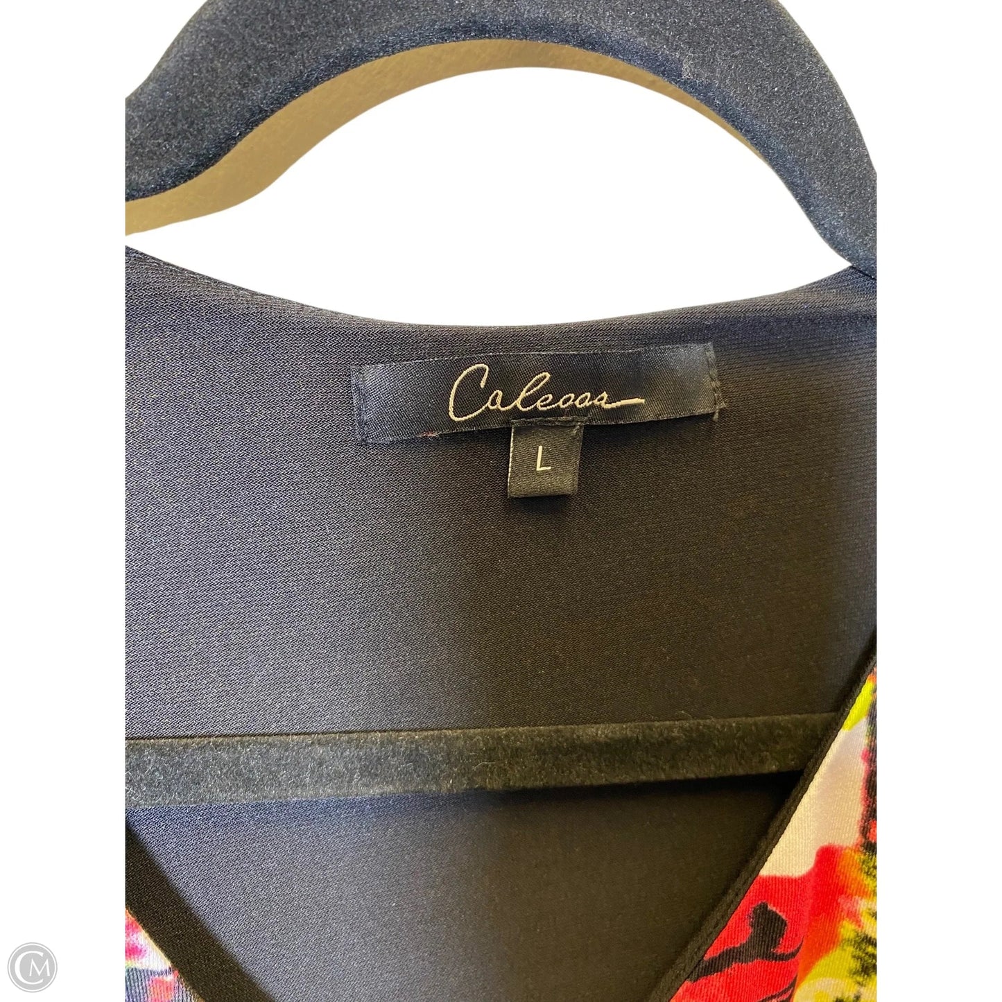 Top 3/4 Sleeve By Calessa In Multi-colored, Size: L