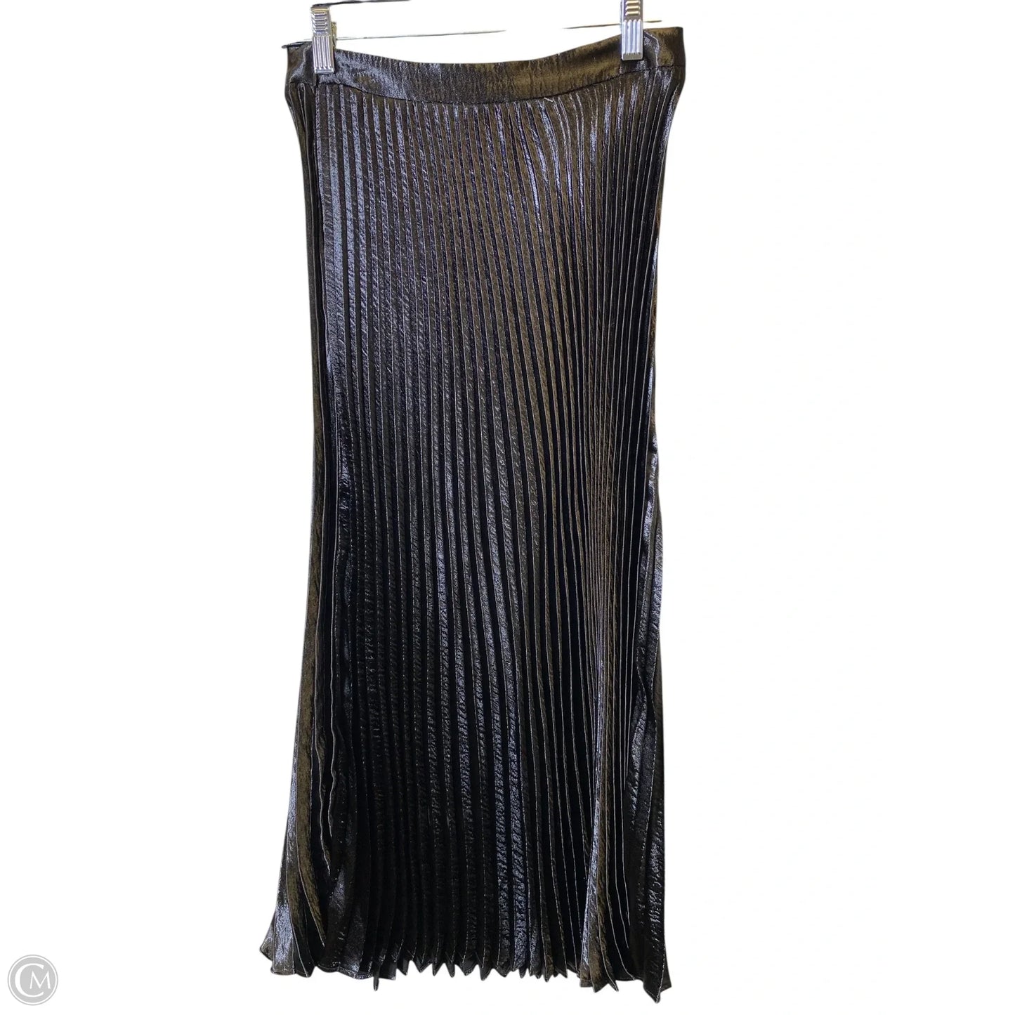 Skirt Maxi By Express In Black, Size: Xs