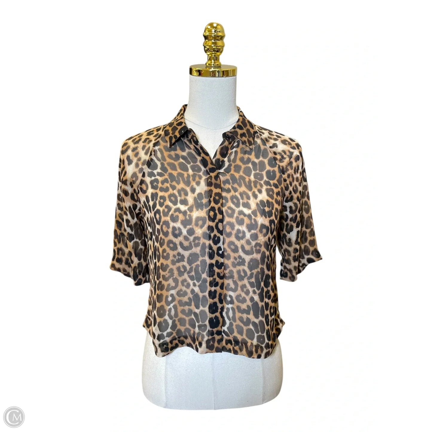 Blouse Short Sleeve By Express In Animal Print, Size: Xs