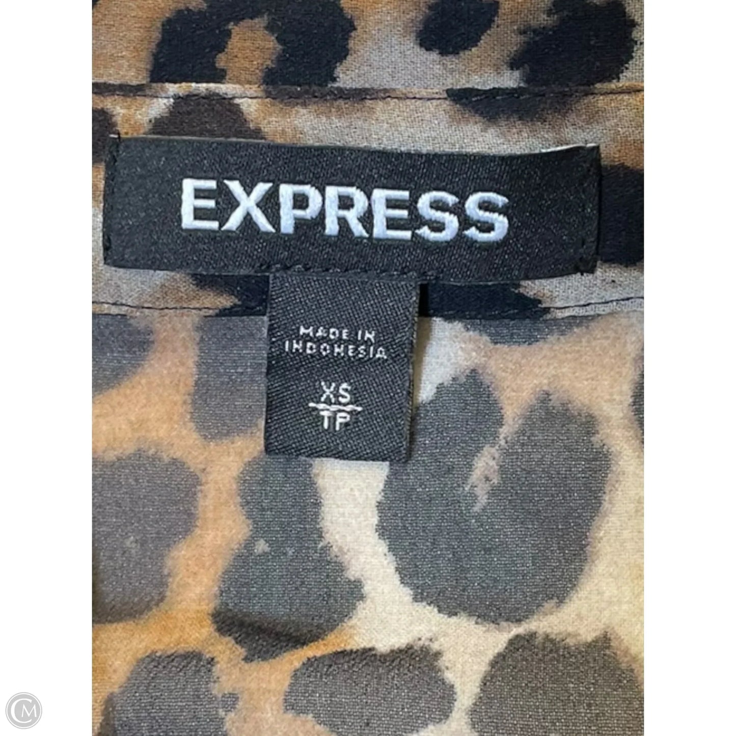 Blouse Short Sleeve By Express In Animal Print, Size: Xs