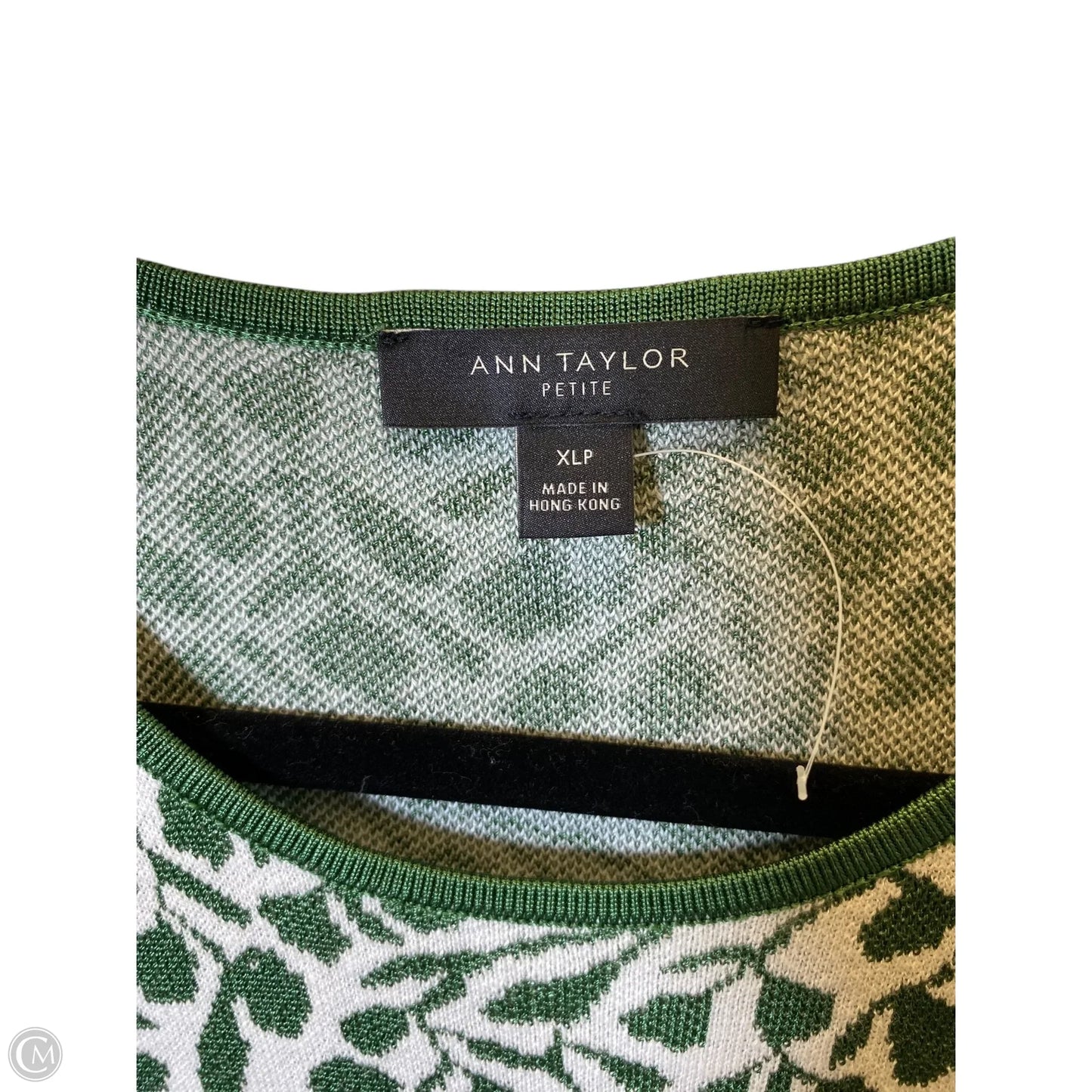 Dress Sweater By Ann Taylor In Green & White, Size: Xl