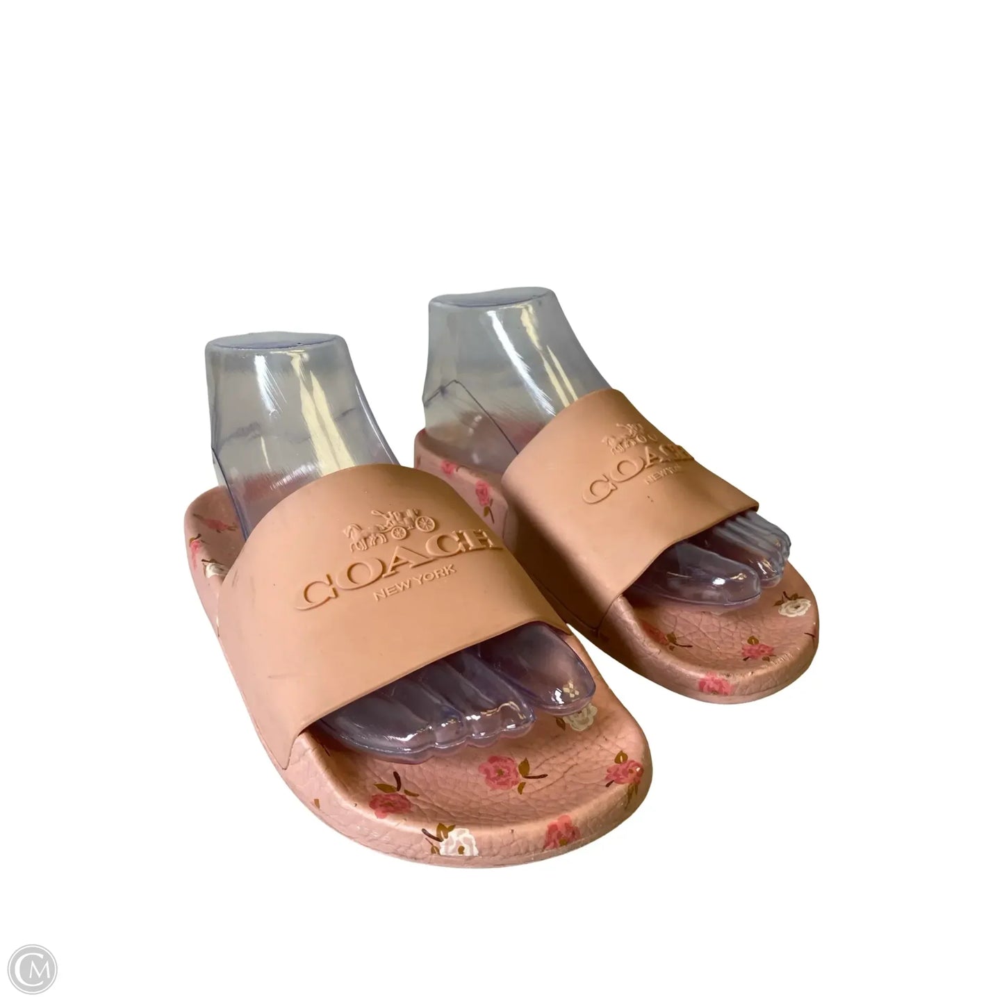 Shoes Designer By Coach In Floral Print, Size: 6