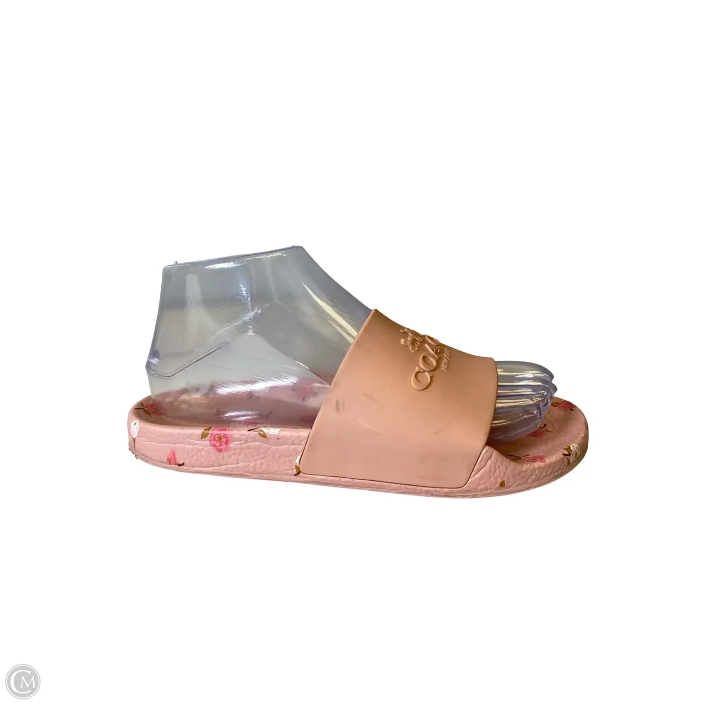 Shoes Designer By Coach In Floral Print, Size: 6