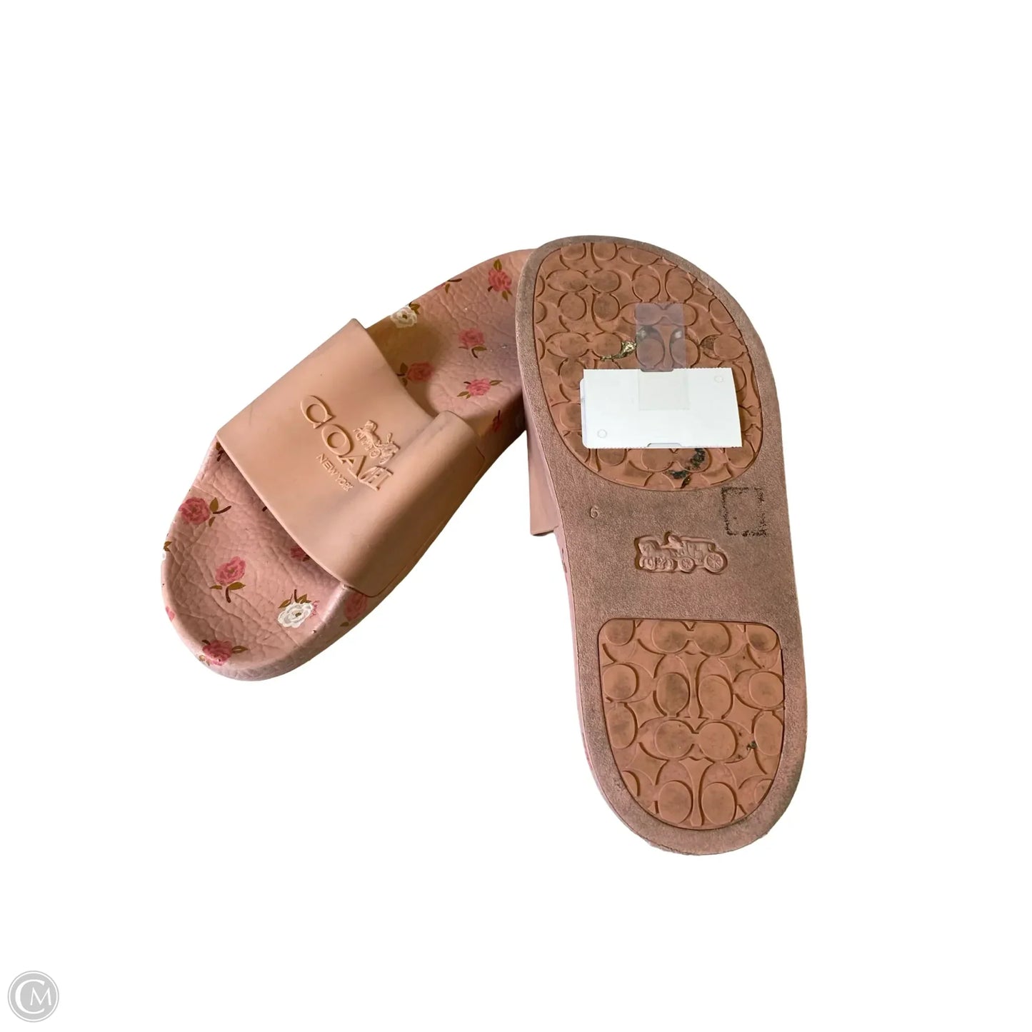 Shoes Designer By Coach In Floral Print, Size: 6