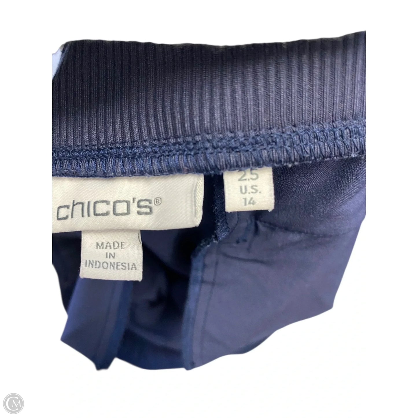 Athletic Pants By Chicos In Navy, Size: 14