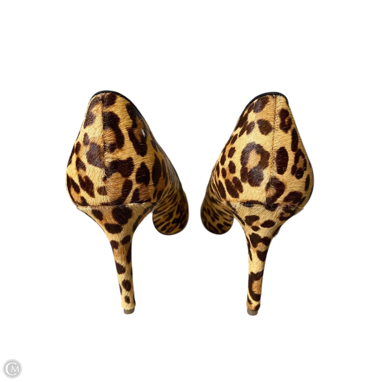 Shoes Heels Kitten By Jessica Simpson In Animal Print, Size: 8