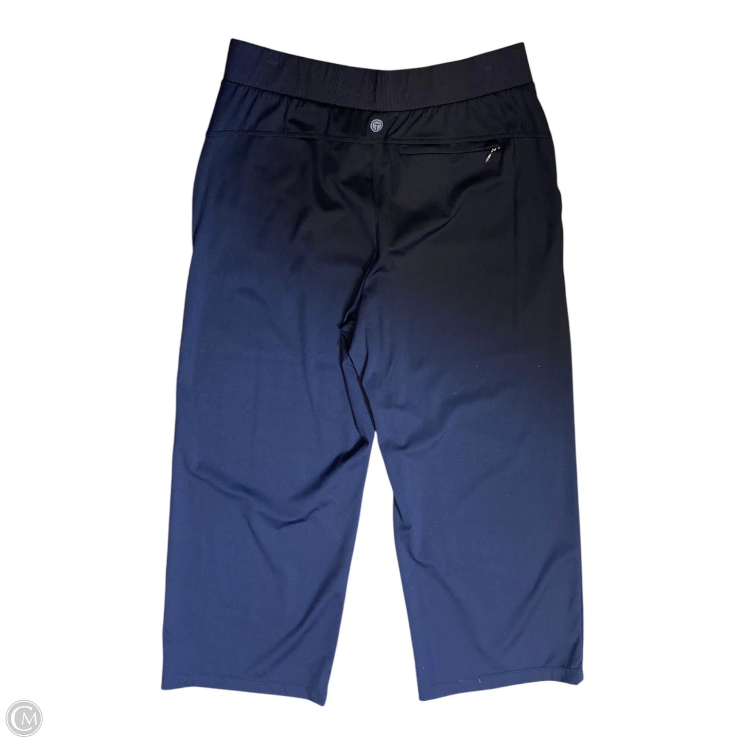 Athletic Pants By Talbots In Navy, Size: M