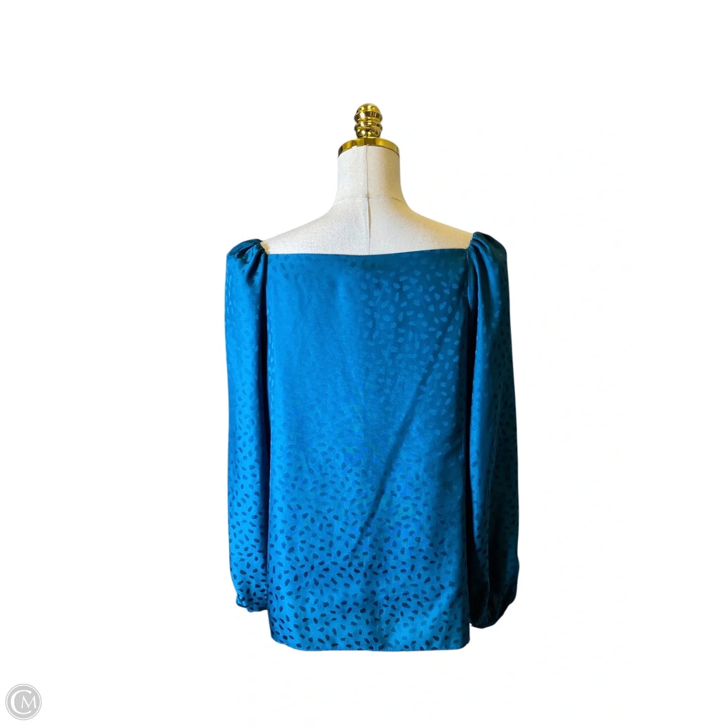 Blouse Long Sleeve By Ann Taylor In Aqua, Size: L