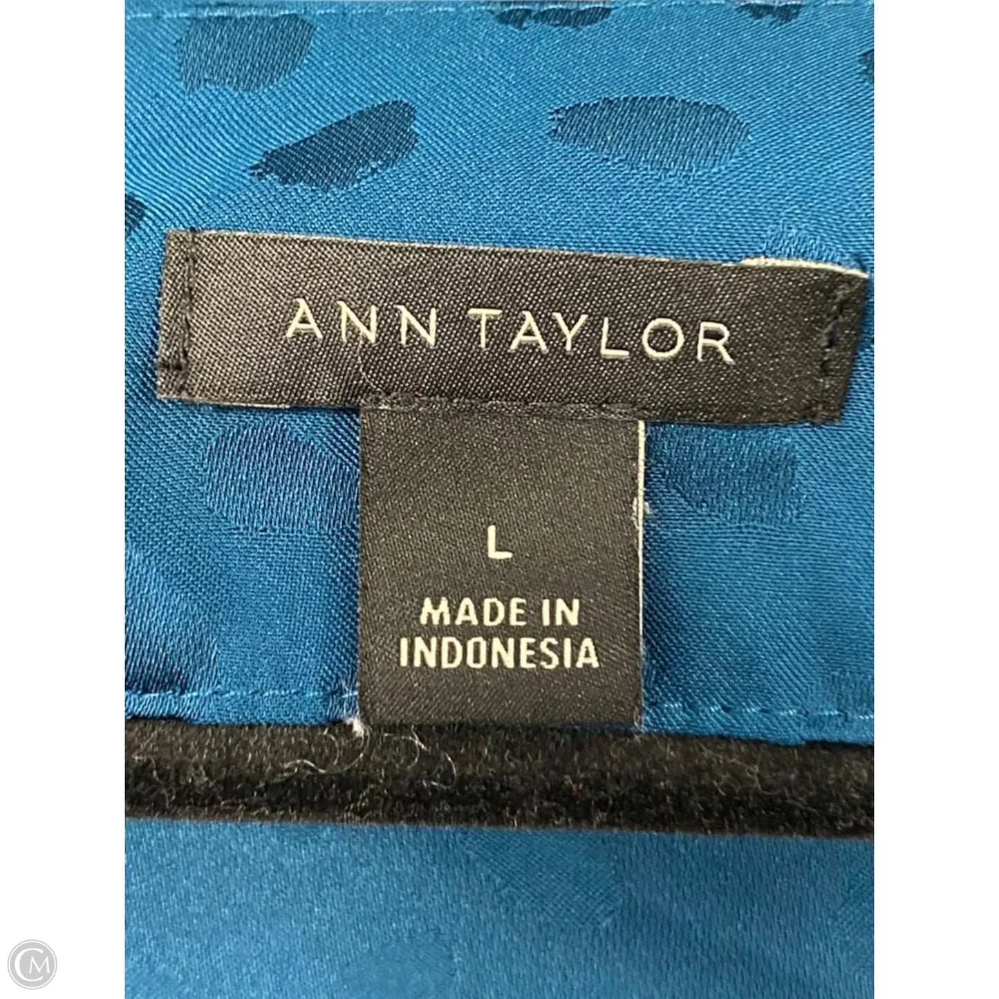 Blouse Long Sleeve By Ann Taylor In Aqua, Size: L