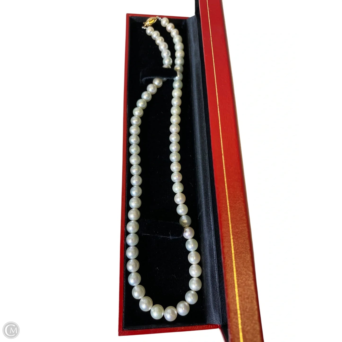 Necklace Choker & Collar By Clothes Mentor