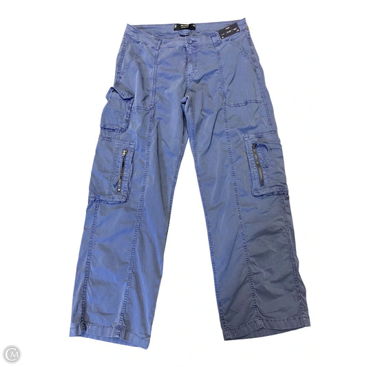 Pants Cargo & Utility By Hollister In Blue, Size: 10