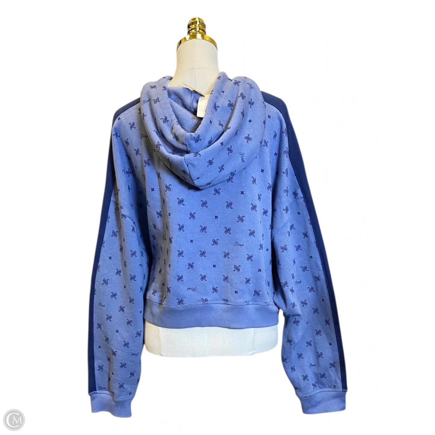 Sweatshirt Hoodie By Pink In Blue, Size: Xxl
