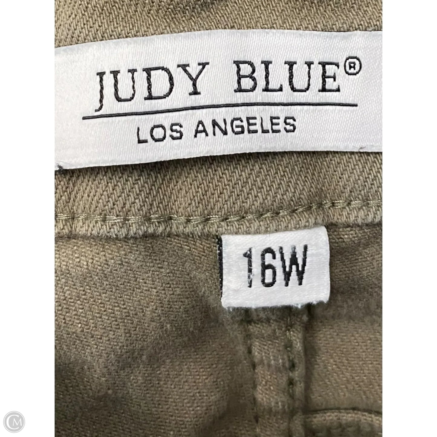 Pants Cargo & Utility By Judy Blue In Green, Size: 16