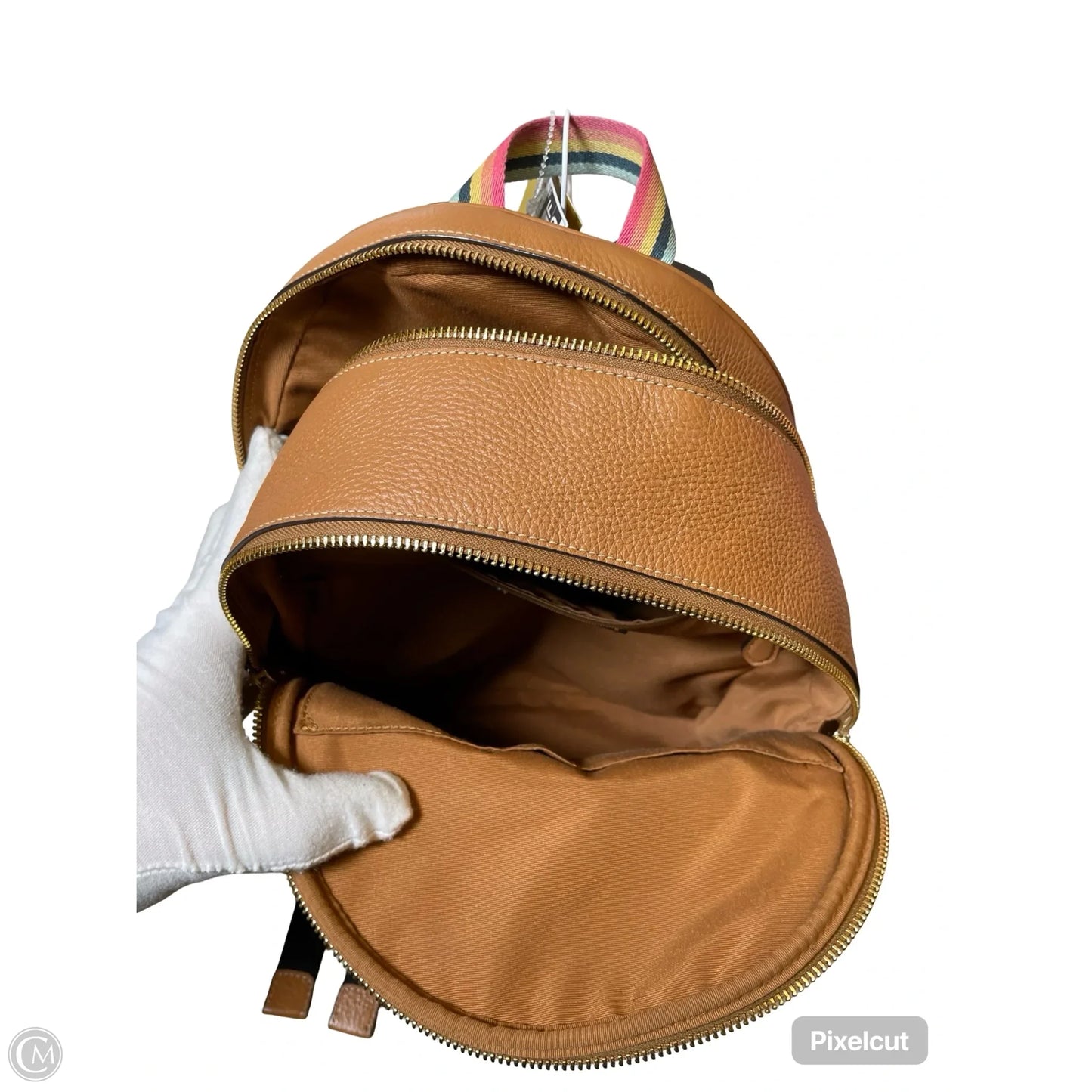 Backpack Designer By Coach, Size: Large
