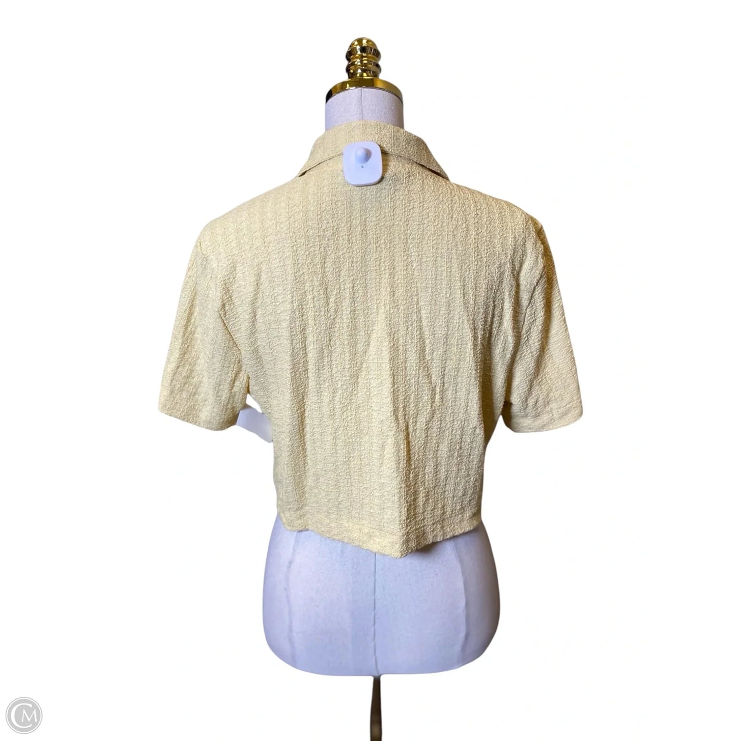 Pants Set 2pc By Clothes Mentor In Yellow, Size: M