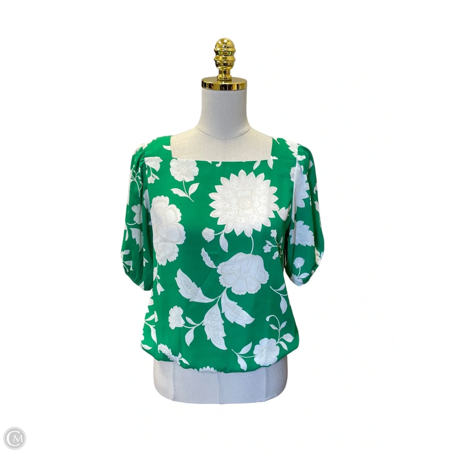 Top Short Sleeve By Ann Taylor In Green & White, Size: S