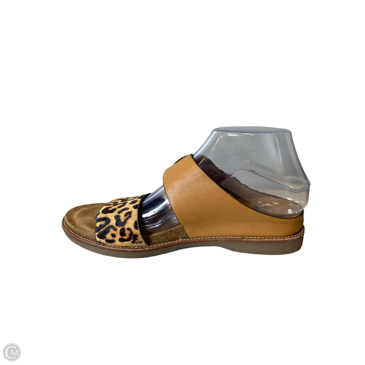 Shoes Flats By Sofft In Animal Print, Size: 8