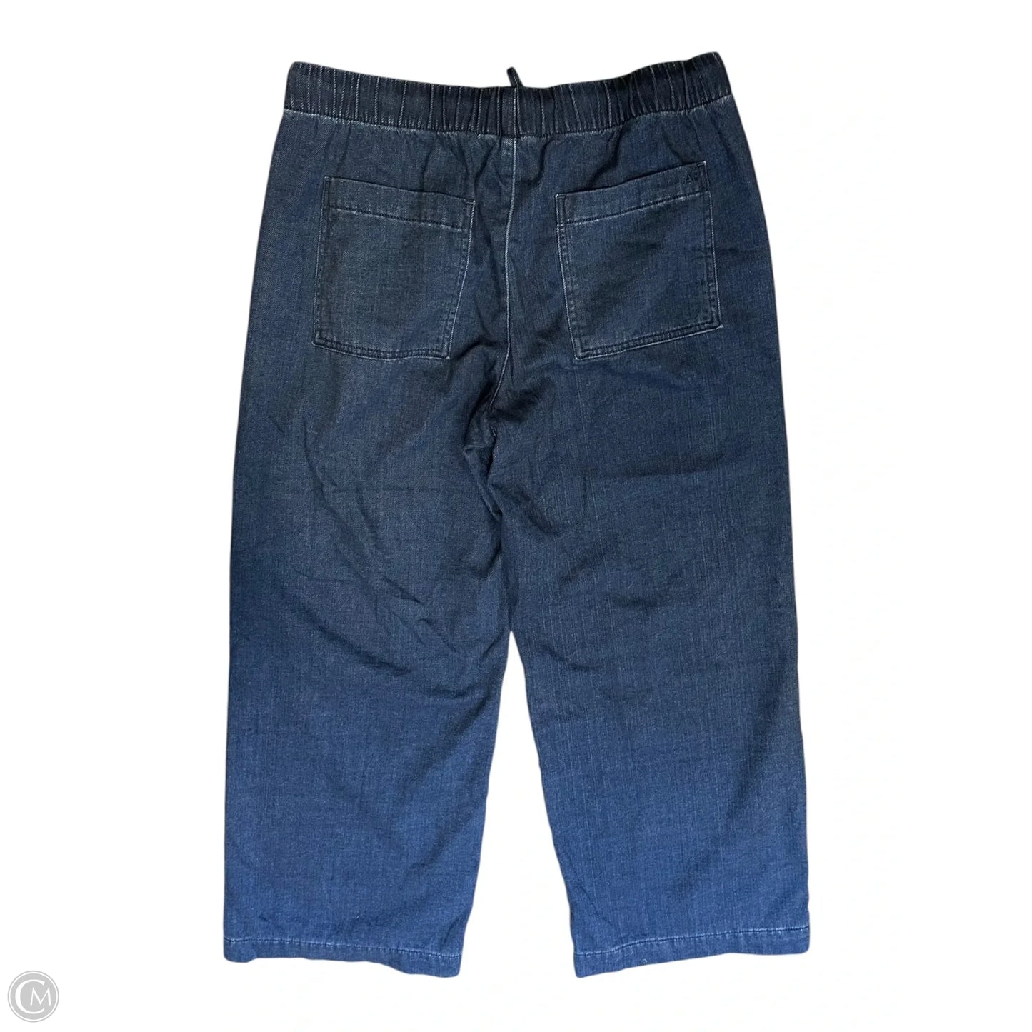 Pants Other By American Eagle In Blue, Size: M