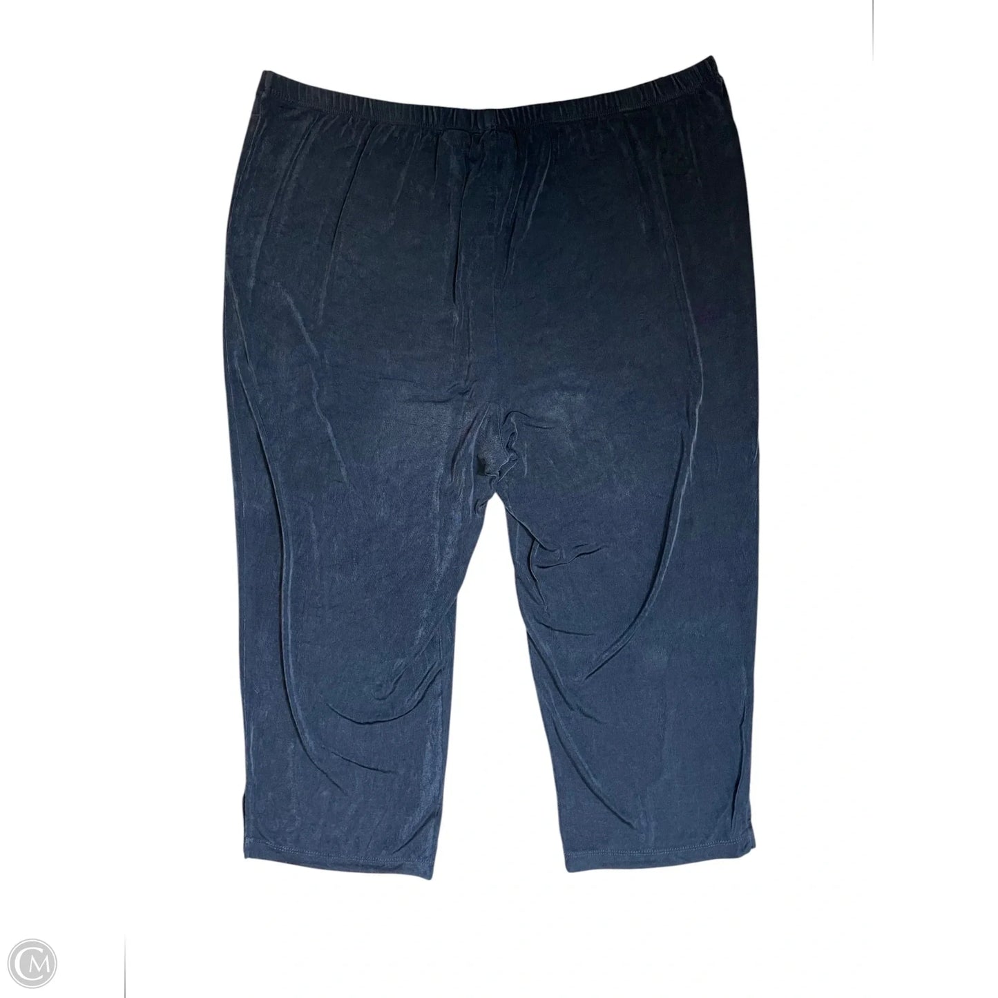 Pants Other By Chicos In Navy, Size: Xl