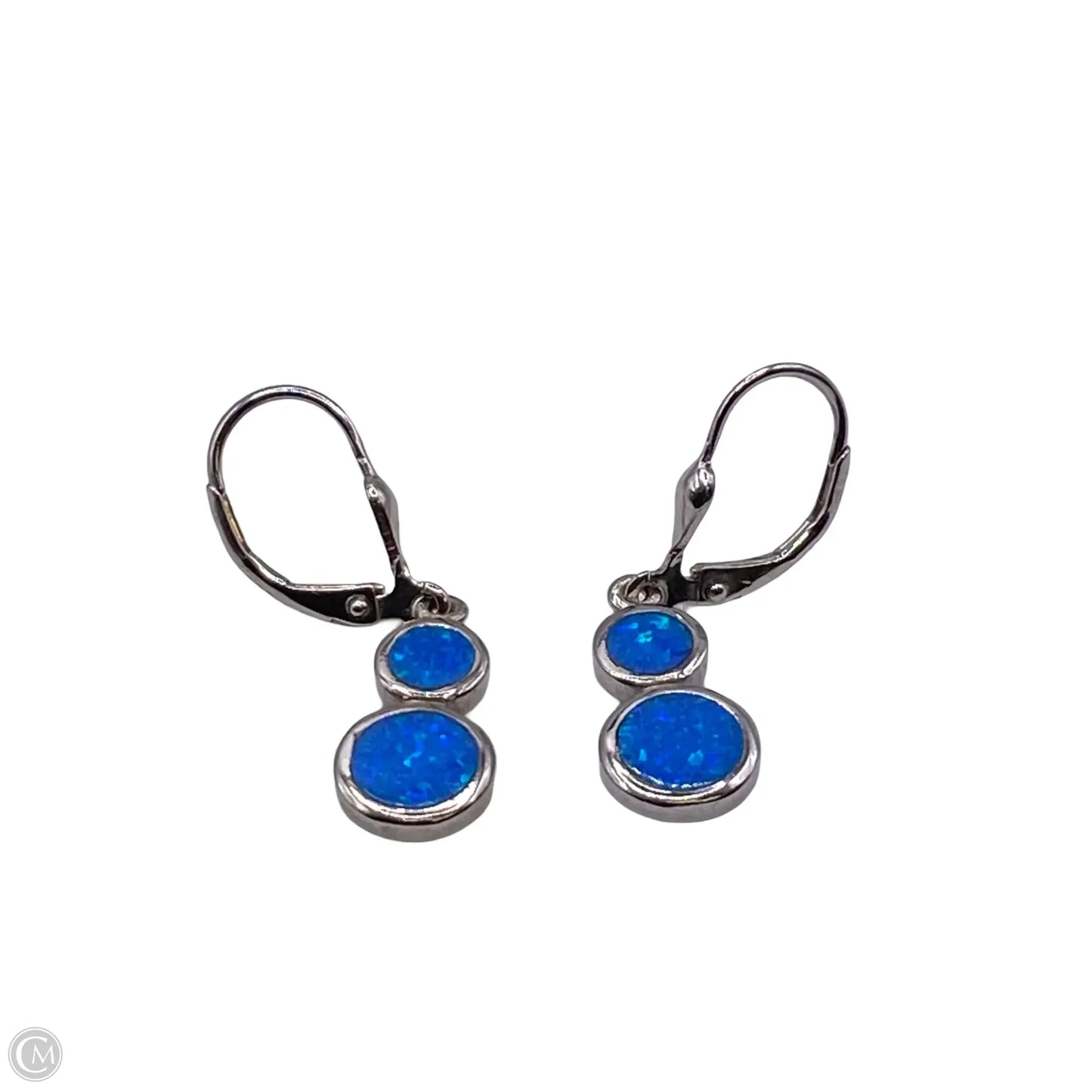 Earrings Dangle/drop By Clothes Mentor
