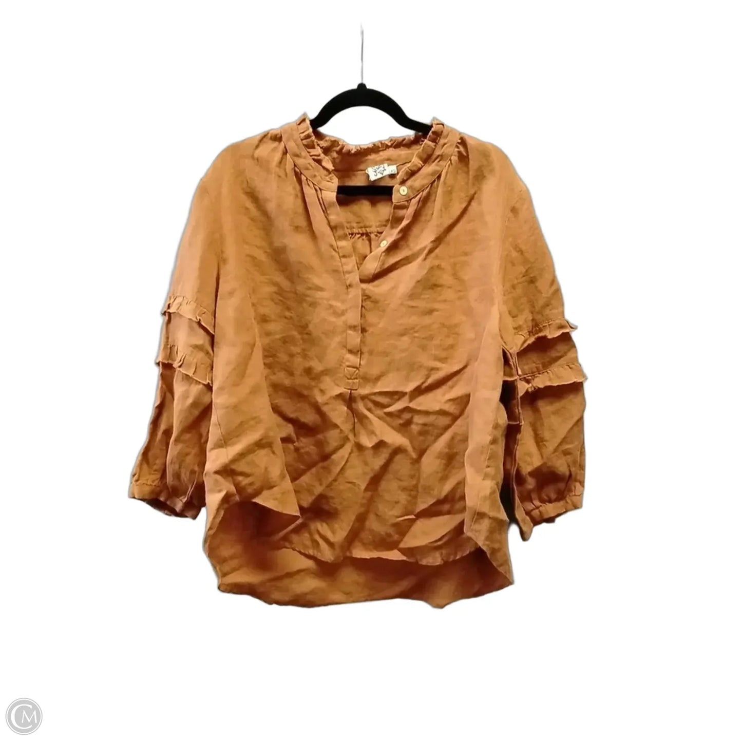 Blouse Long Sleeve By Ivy Jane In Brown, Size: Xs