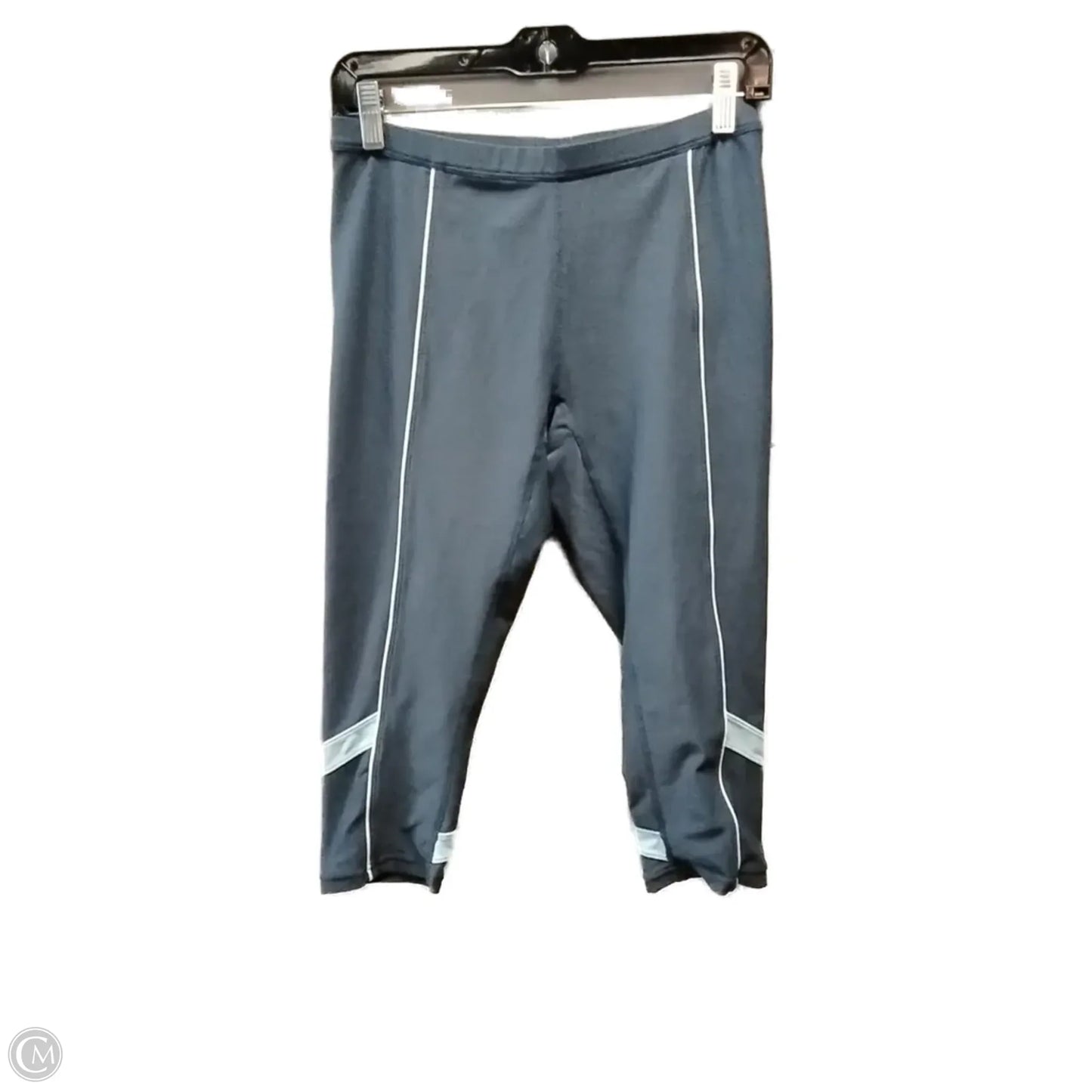 Athletic Pants By Nike Apparel In Blue, Size: S