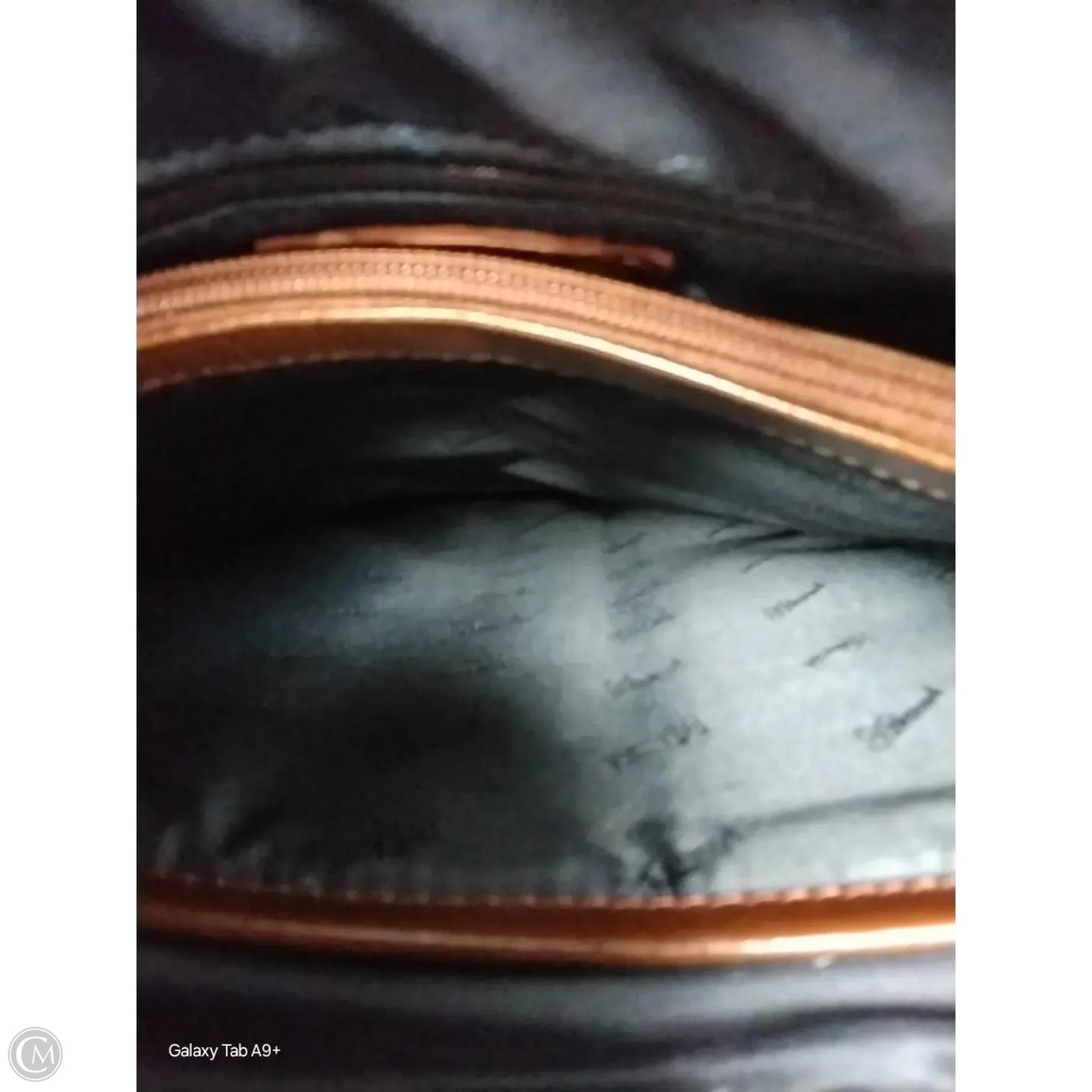 Backpack Designer By Patricia Nash, Size: Medium