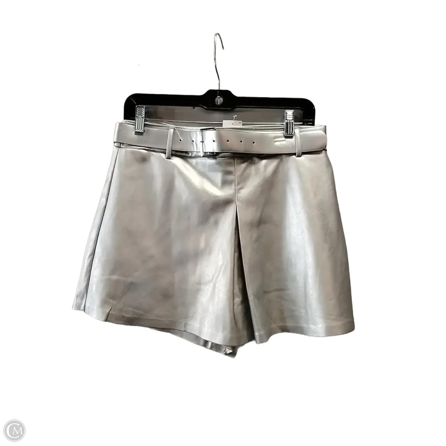 Shorts By Iris In Silver, Size: L