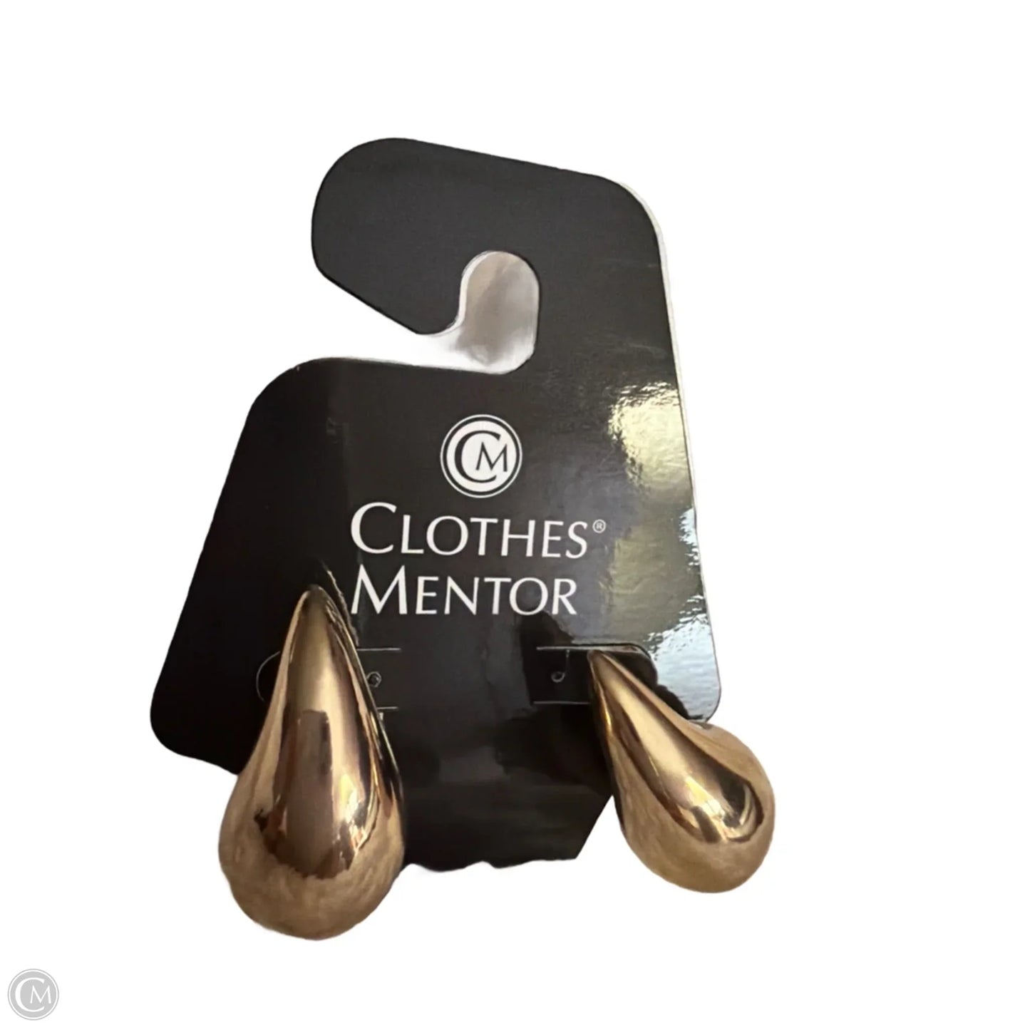 Earrings Hoop By Clothes Mentor