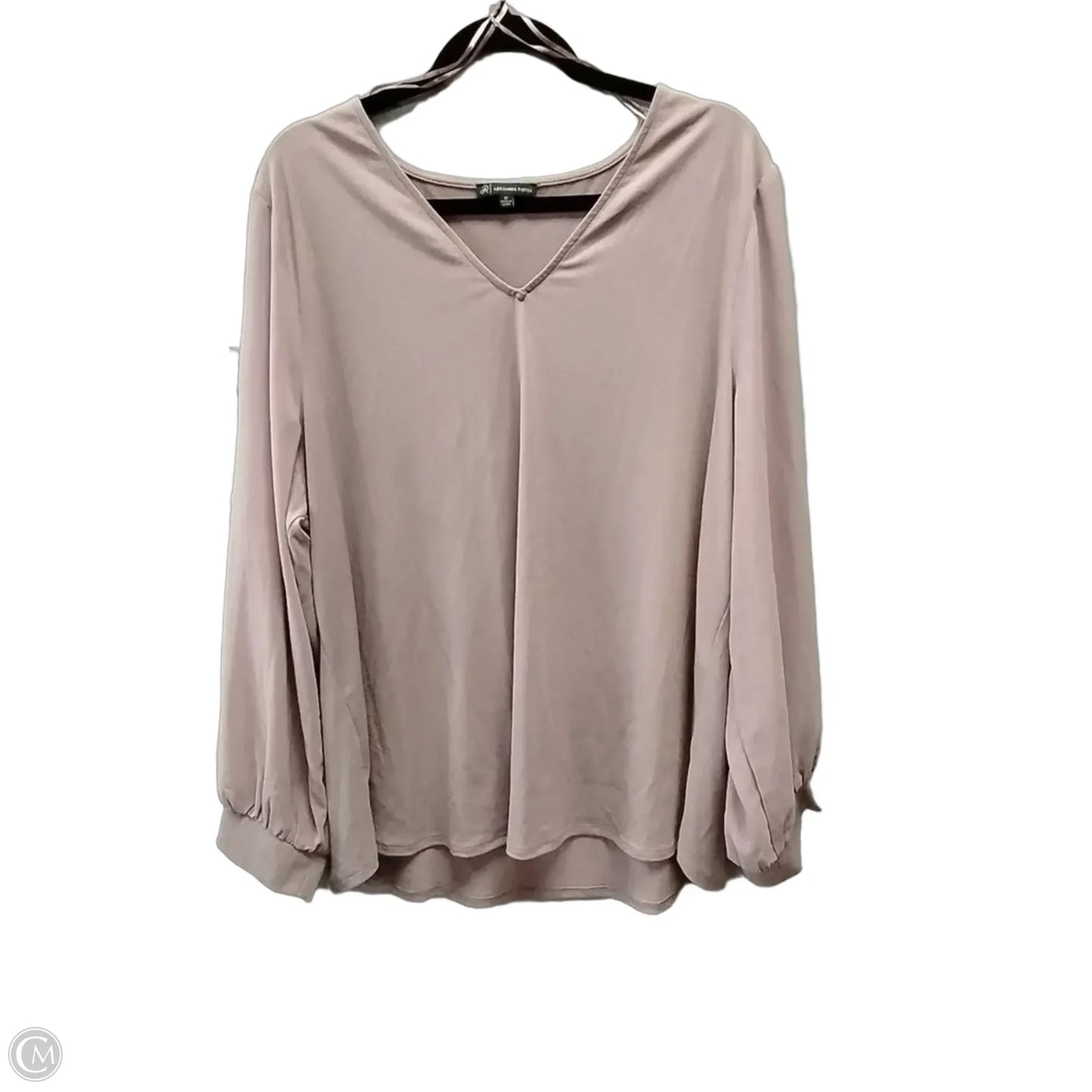 Blouse Long Sleeve By Adrianna Papell In Pink, Size: 2x