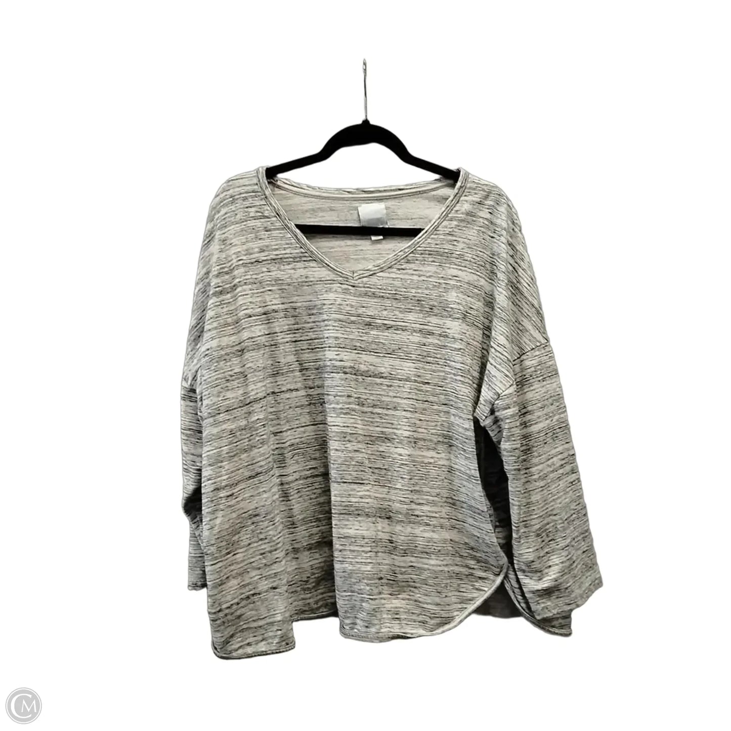 Top Long Sleeve By Sunday In Grey, Size: 3x