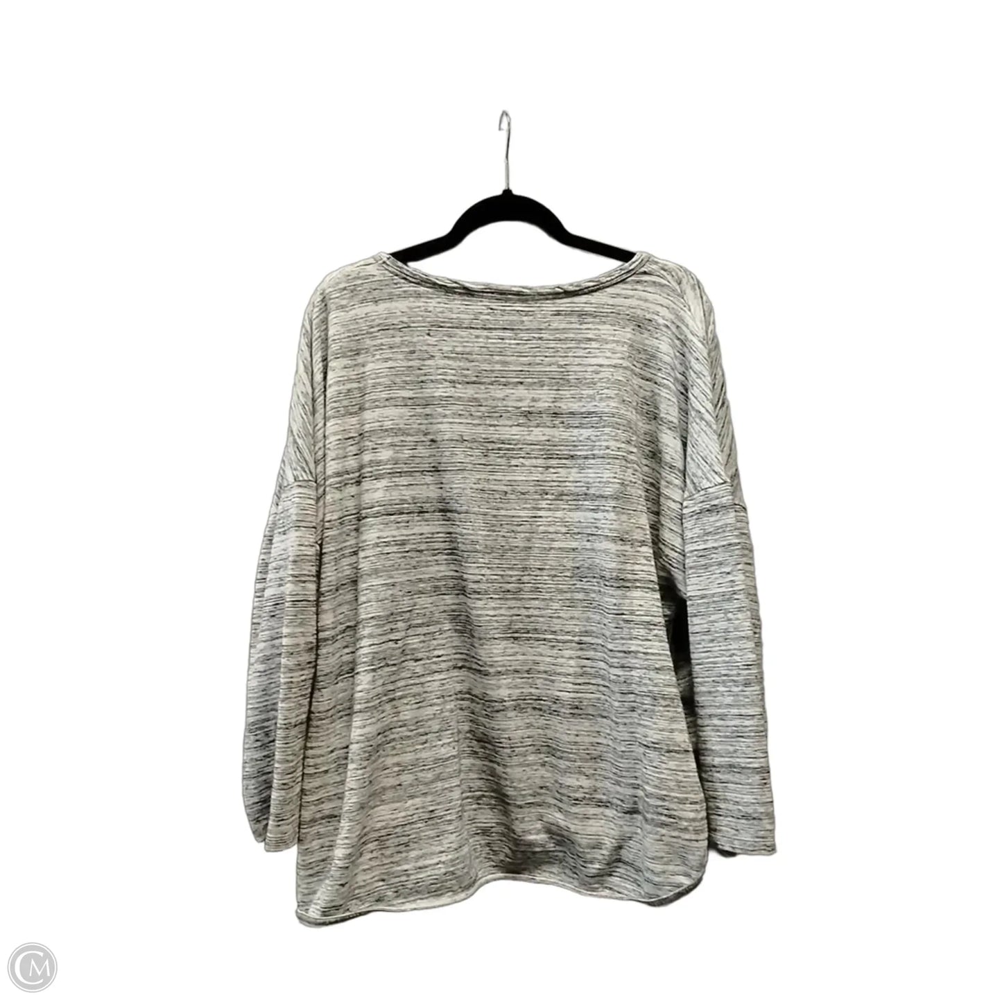 Top Long Sleeve By Sunday In Grey, Size: 3x
