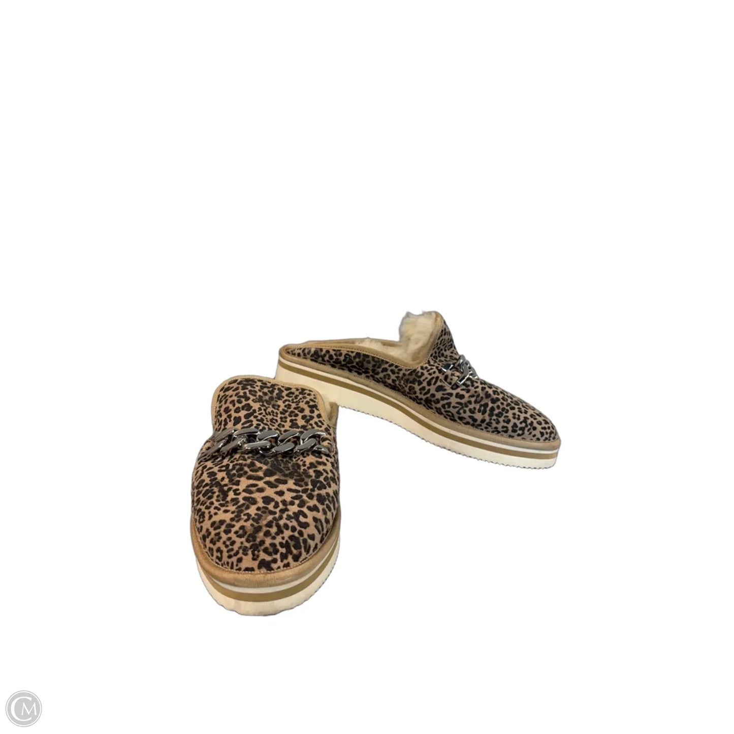 Slippers By Dolce Vita In Animal Print, Size: 6.5