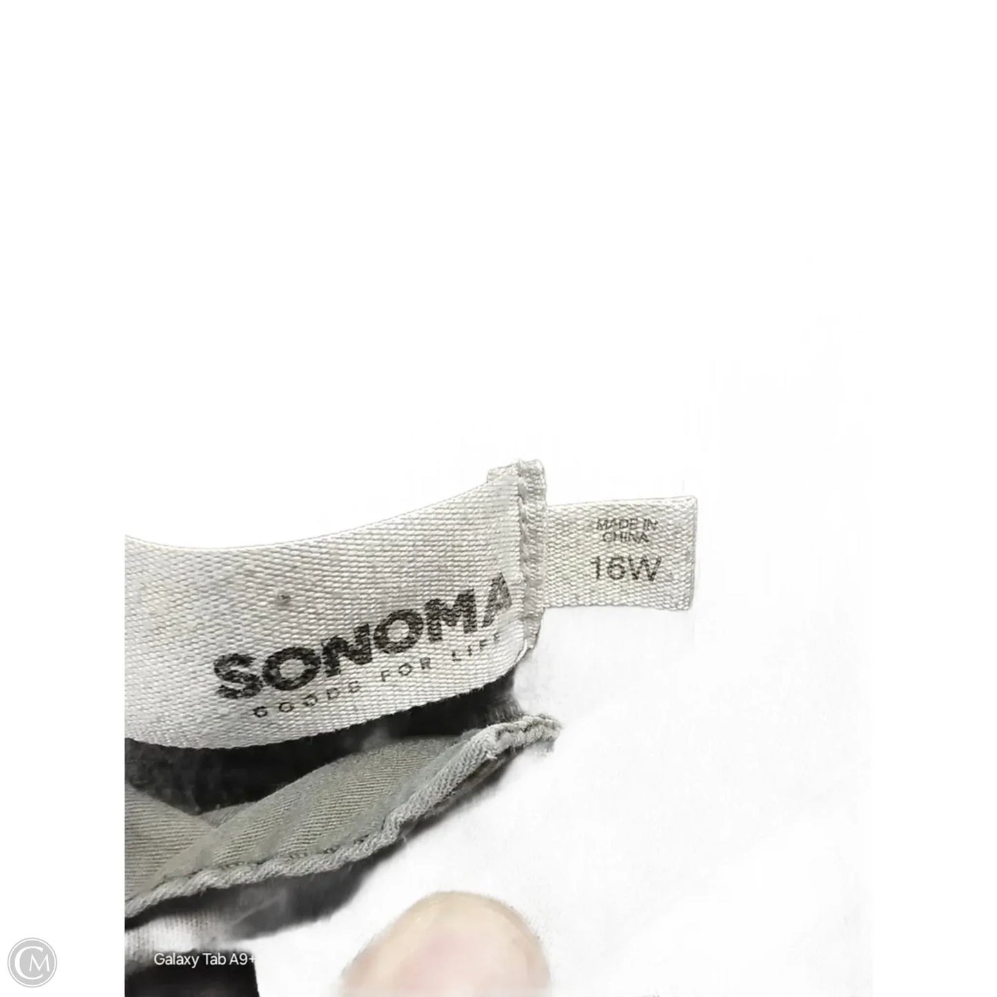 Pants Cropped By Sonoma In Green, Size: 16w