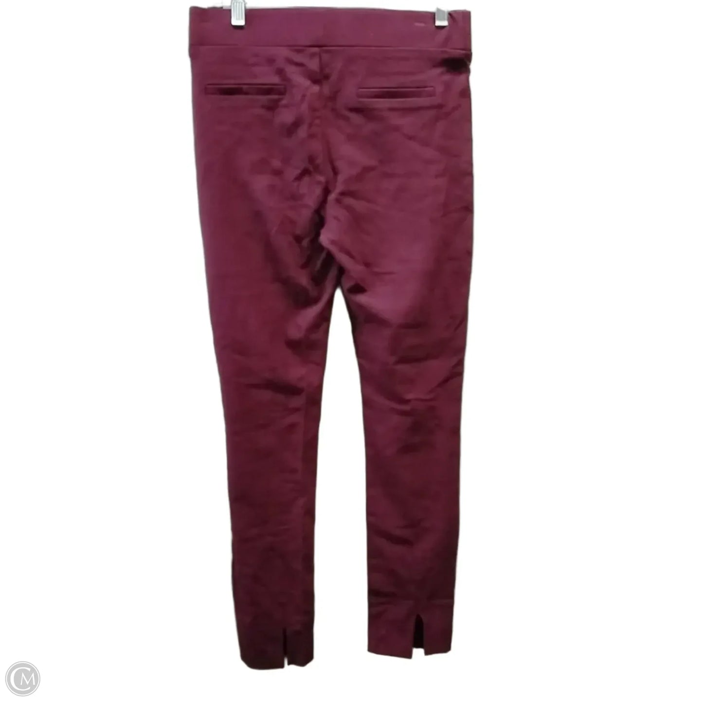 Pants Joggers By Eci In Purple, Size: M