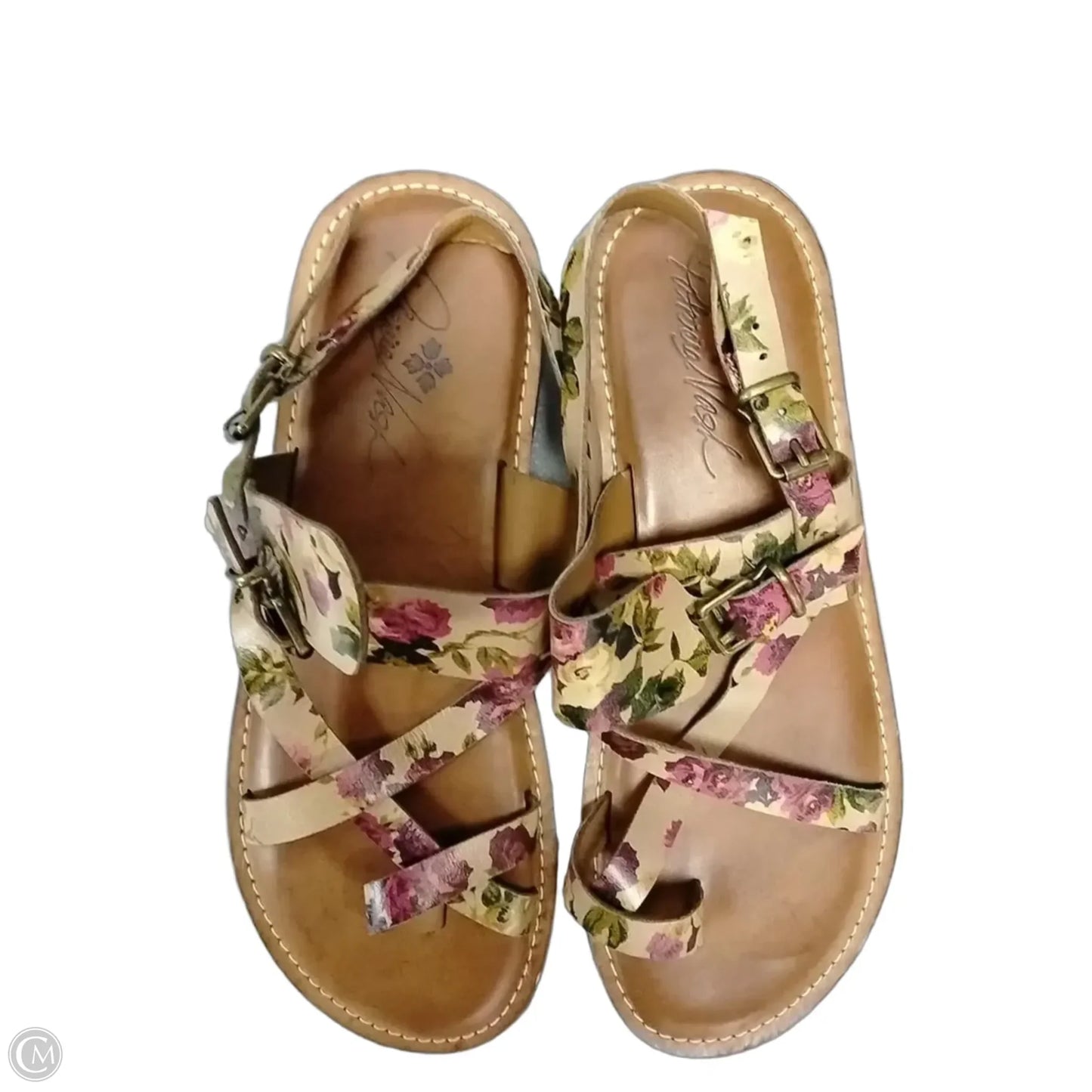 Sandals Designer By Patricia Nash In Floral Print, Size: 8.5