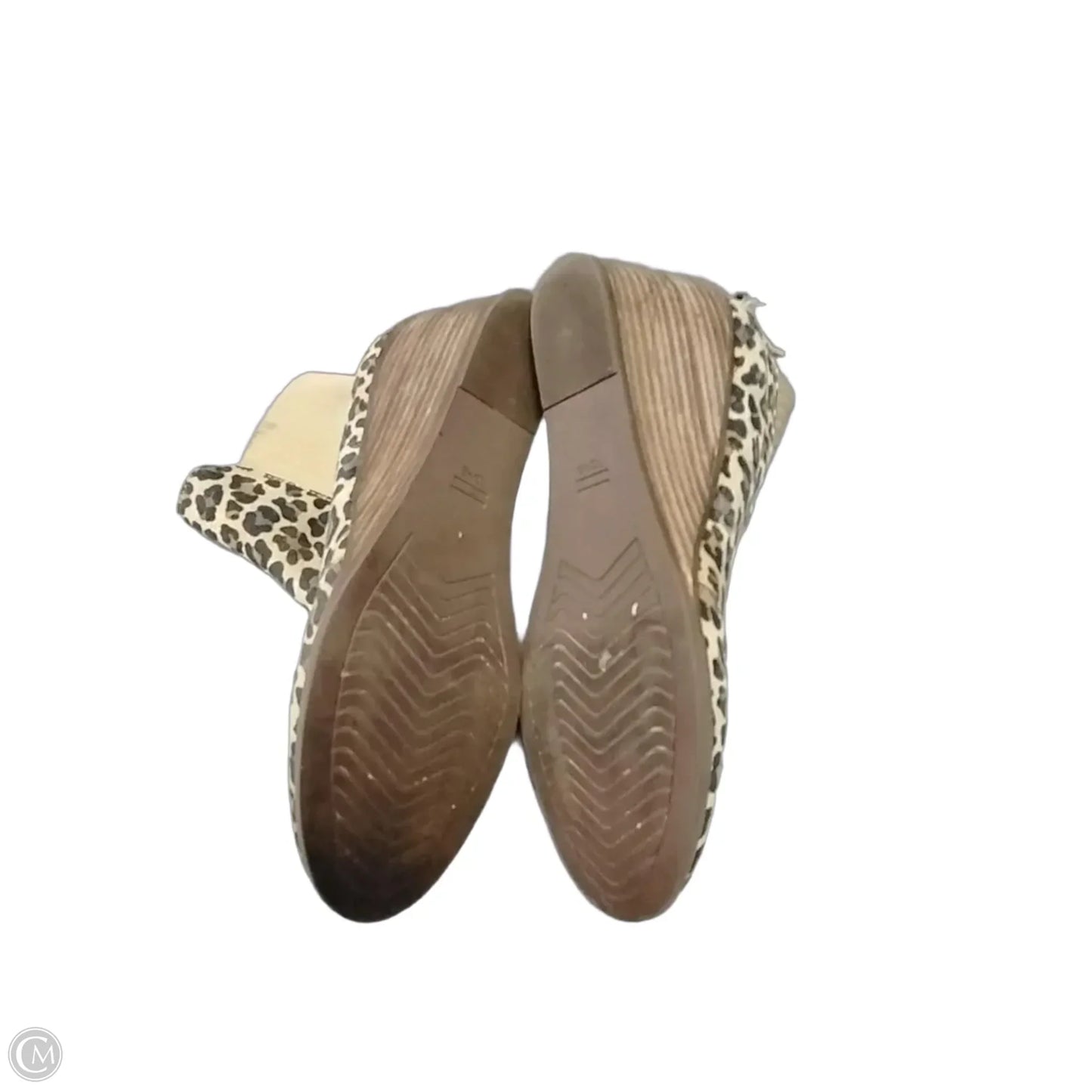 Shoes Heels Wedge By Toms In Leopard Print, Size: 8