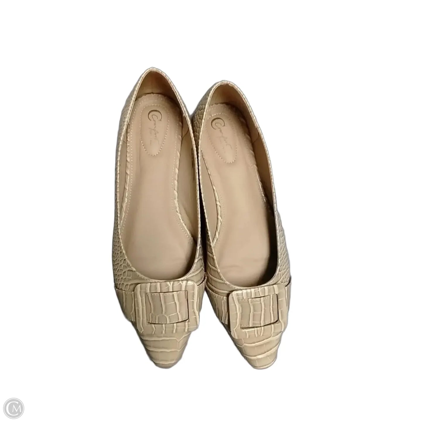 Shoes Flats By Cato In Snakeskin Print, Size: 11