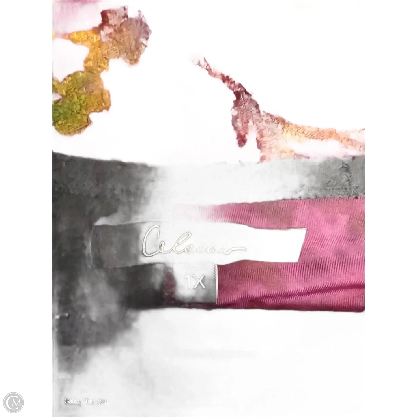 Blouse Long Sleeve By Clothes Mentor In Multi-colored, Size: 1x