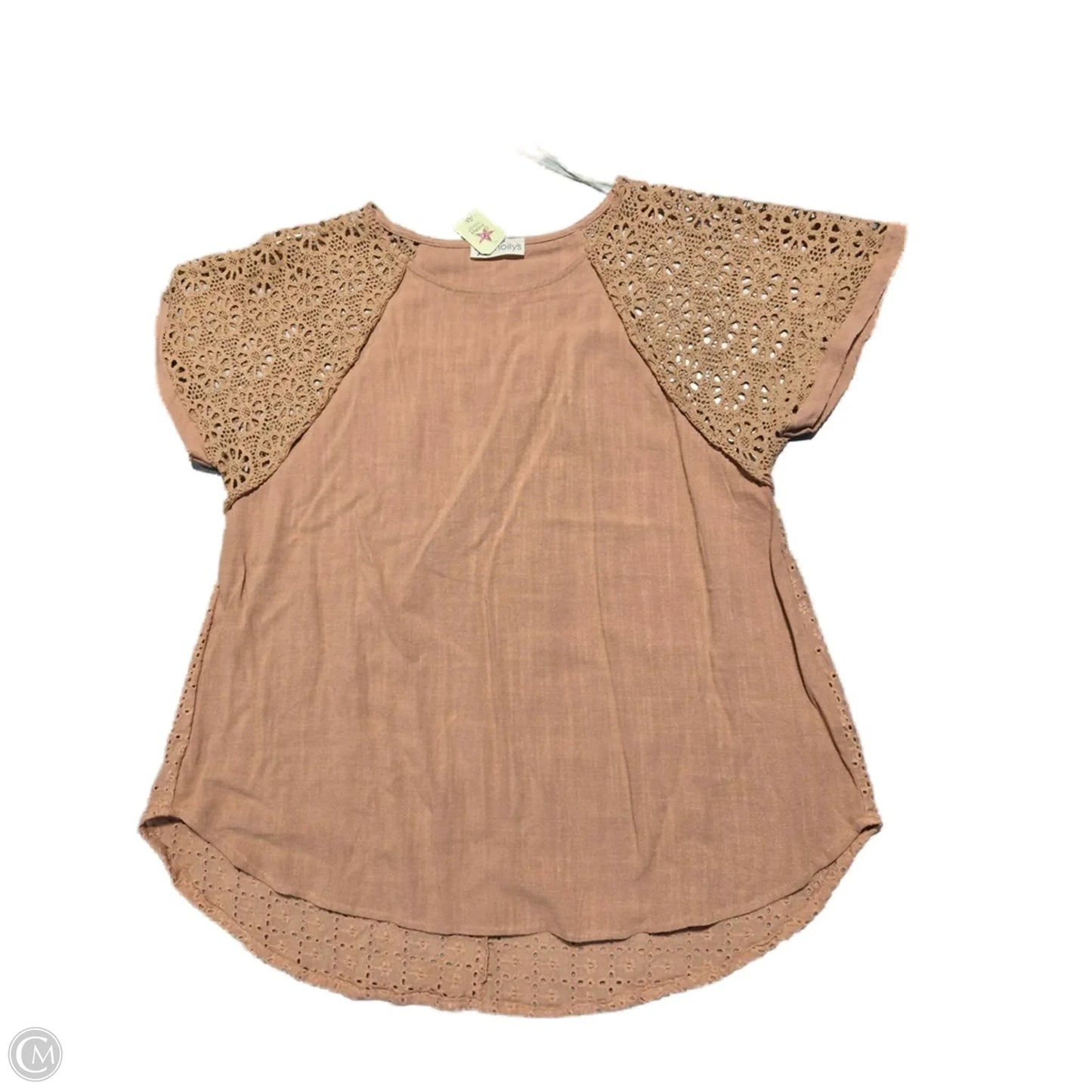 Top Short Sleeve By Cmc In Brown, Size: 2x