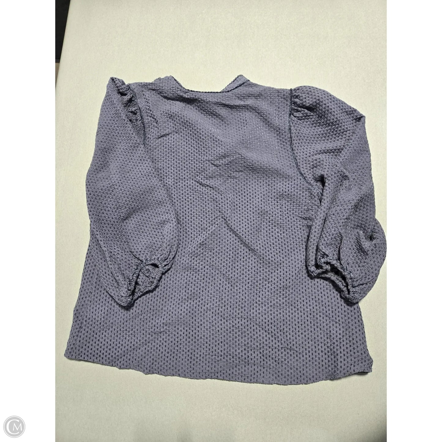 Top Long Sleeve By Max Studio In Blue, Size: S