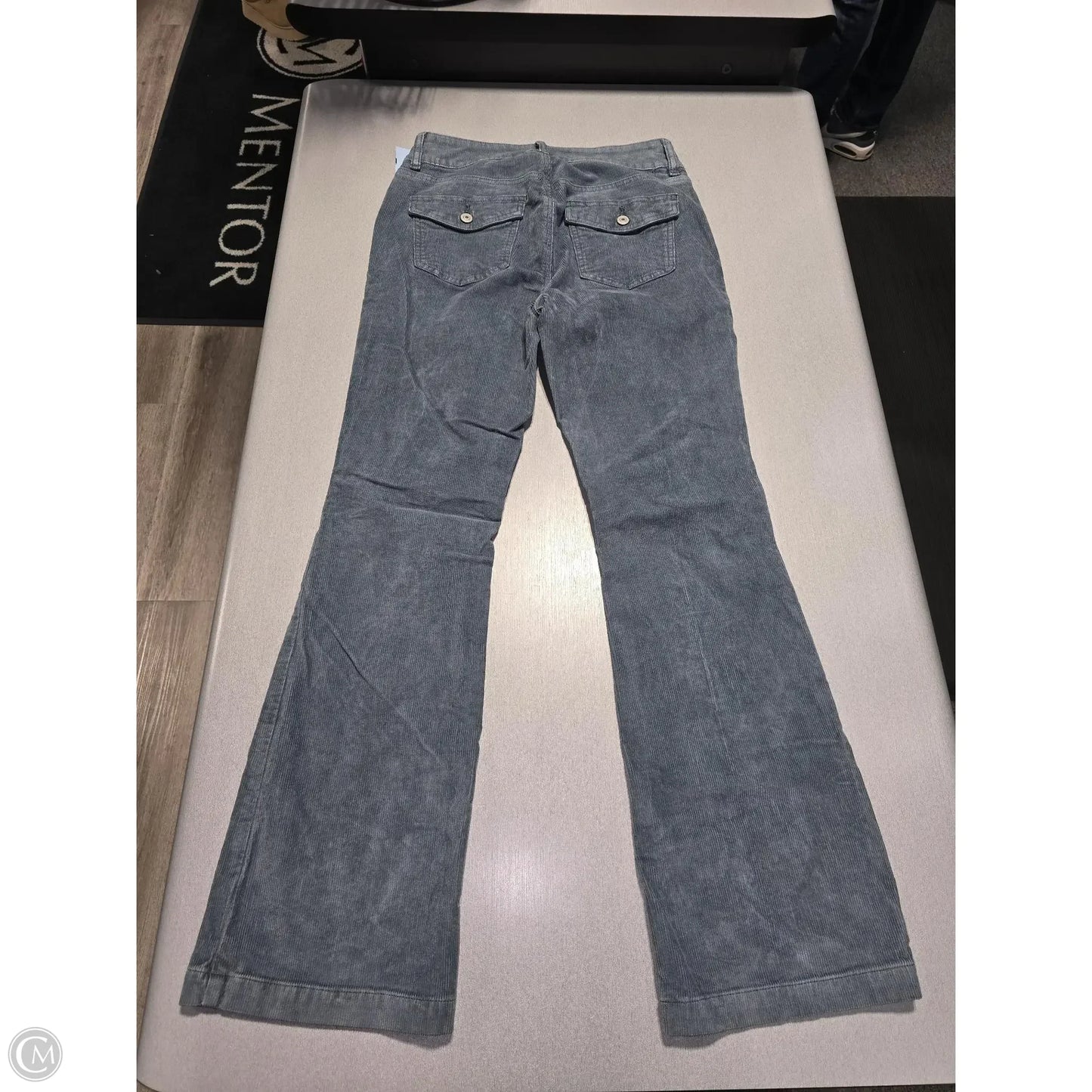 Pants Corduroy By American Eagle In Grey, Size: 8