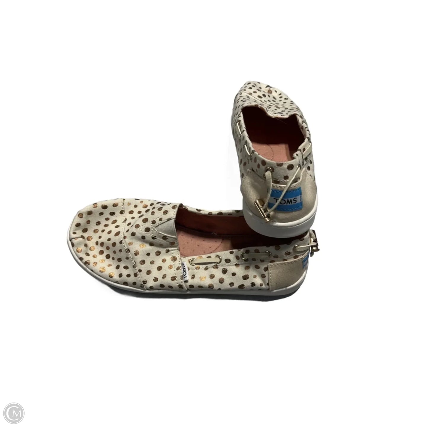 Shoes Flats By Toms In Polkadot Pattern, Size: 6