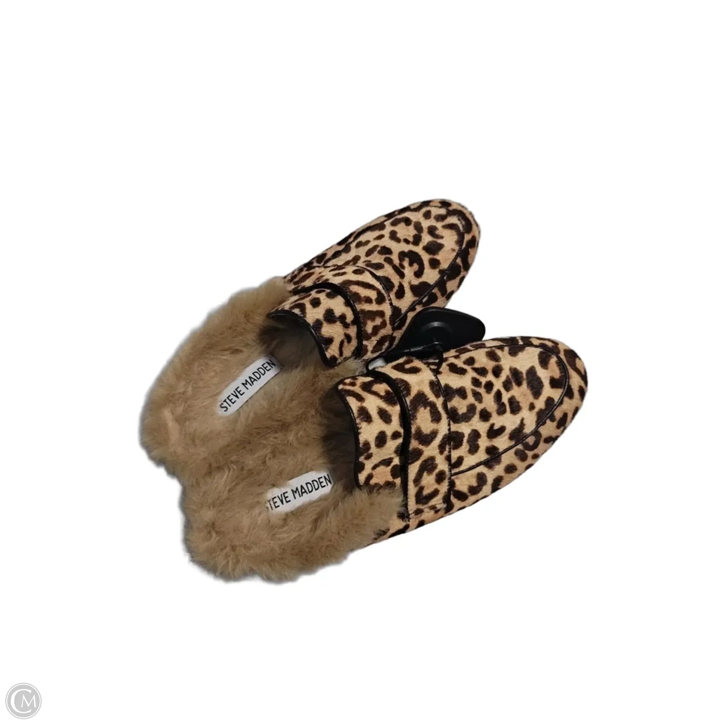 Shoes Flats By Steve Madden In Animal Print, Size: 6.5