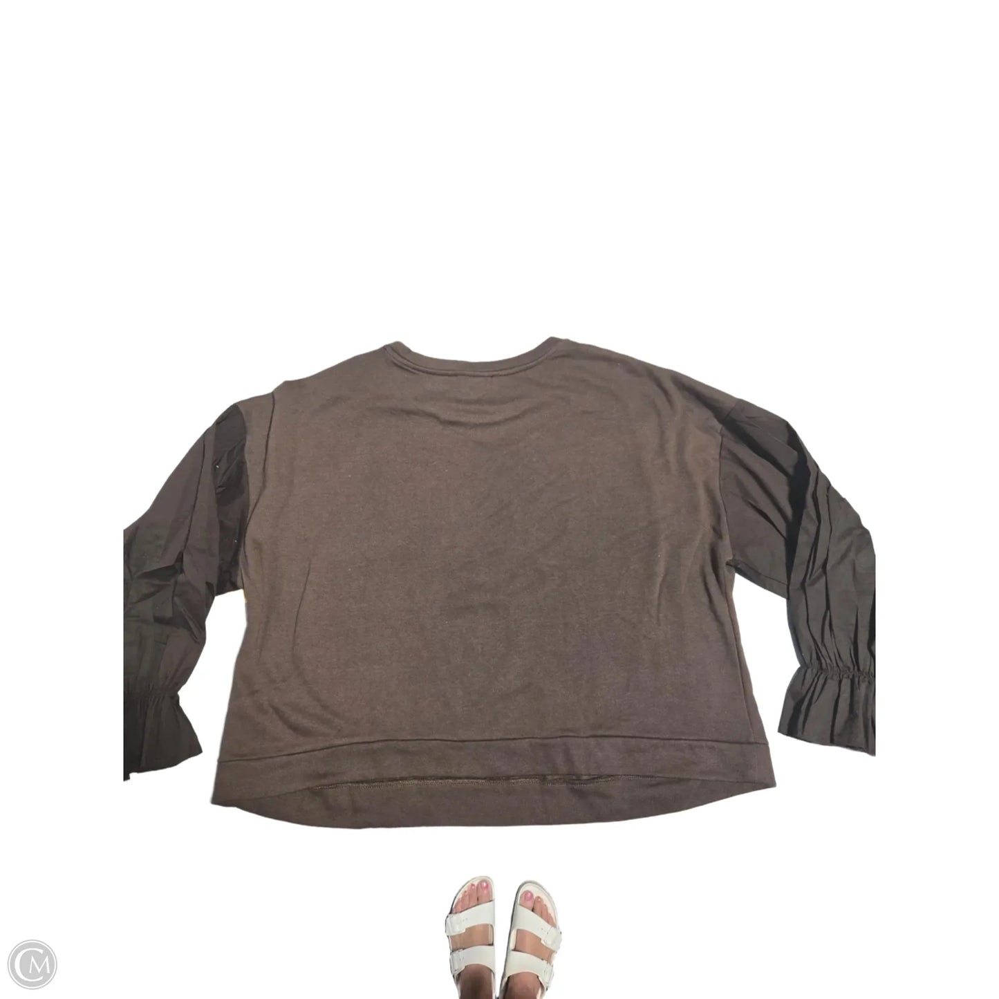 Top Long Sleeve By Eloquii In Brown, Size: 2x