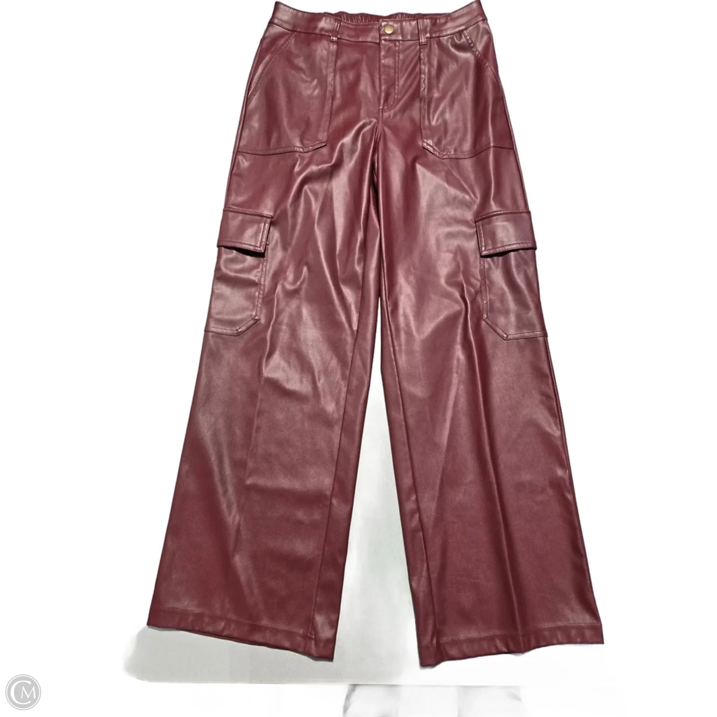 Pants Cargo & Utility By Wild Fable In Maroon, Size: 8